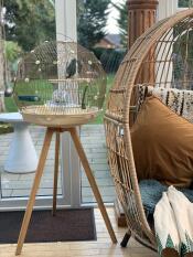 A bird sat in the cream and Gold Geo bird cage.