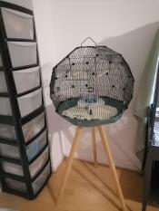 Geo 60 bird cage & full stand 