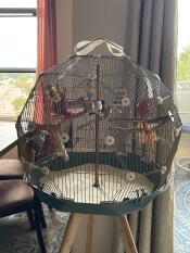 Inlet bird cage 