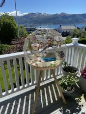 A bird sat in the cream and Gold Geo bird cage outside on a balcony.