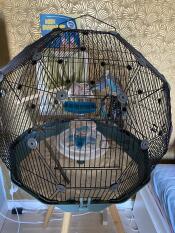 Geo bird cage with black cage and teal base