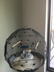 Omlet Geo bird cage with black cage and teal base