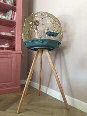 An Omlet Geo bird cage on a legs looking fantastic!