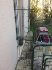 Omlet purple Eglu Go rabbit hutch connected to Omlet outdoor rabbit run