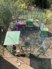 Top view of Omlet walk in rabbit run with green Eglu rabbit hutch