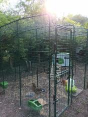 New enclosure with extension