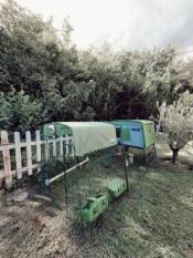 A coop and its run, covered with a summer shade