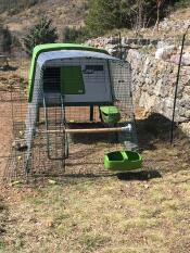 An Eglu Cube standing on the ground