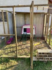 Purple Eglu Cube large chicken coop in wooden chicken run