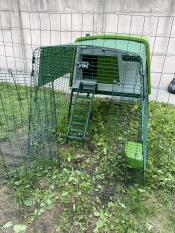 Large green Omlet Cube chicken coop with run and cover