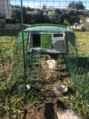 Omlet green Eglu Cube large chicken coop and run with Omlet walk in chicken run