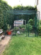 Omlet walk in rabbit run