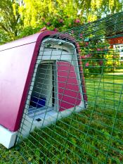 Purple Eglu Go rabbit hutch with run