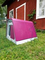 Purple Eglu Go rabbit hutch with run