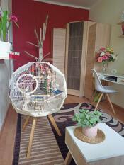 Omlet Geo bird cage with white cage, cream base and small legs in living room