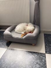 A dog sleeping on his bed
