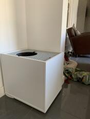 Dog proof! 