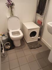 A cat litter box in a bathroom