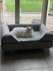A fluffy white cat enjoying his large grey bed with bolster topper