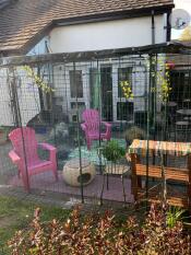 Fifi and her catio