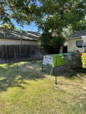 Durable Fence for Safer Chicken Environment 