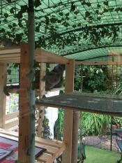 Our catio with fairy lights