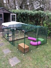 A low height rabbit run in a garden