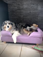 Jaya who wasted no time in trying out her new bed