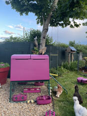 Our little girly corner