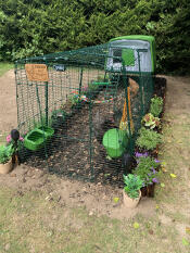 Our girls love there safe home. these are the best coops and runs