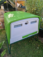 Rear view 