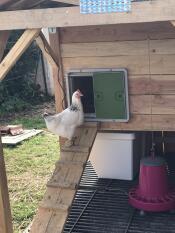 Door Omlet efficient!