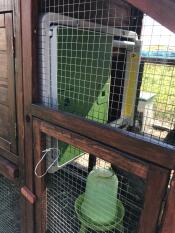 Omlet green automatic chicken coop door attached to wooden chicken coop