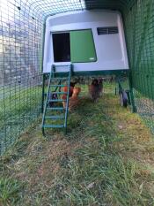Chicken coop Eglu Cube