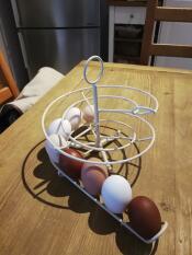 Color eggs 
