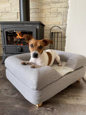 Dog sitting on Omlet Topology dog bed with grey bolster topper and square wooden feet