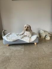 Henry loves his dog bed especially the fur topper! 