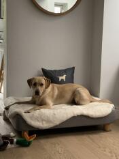 A dog laying on his grey bed and sheepskin topper