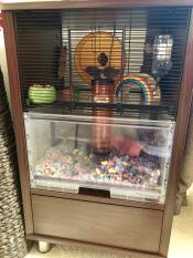 Daisy the hamster settling in well, this hamster home is amazing 