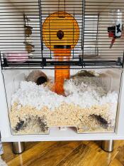 Escape proof for gerbils