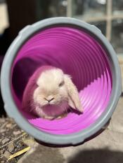 Play tunnel