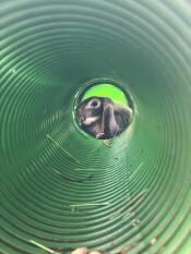 The tunnels are perfect for cooling off on a hot day, says the elf!