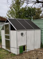 The greenhouse transformed into a chicken coop