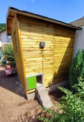 Best automatic chicken coop door on the market 