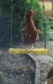 One of our girls enjoying the swing!