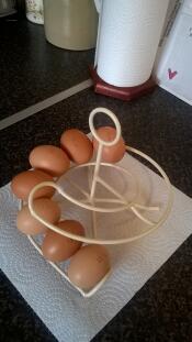 Egg skelter showing off our hens' hard work!
