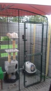 A balcony cat run with cat tree inside.
