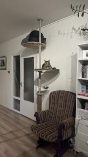 Freestyle climbing tree for cats