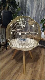 Omlet Geo bird cage with Gold cage, cream base and small legs