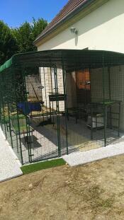 A large enclosure for cats with lots of covers to protect them from the sun, wind and rain.